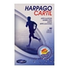 Harpago Cartil - 90 gél.