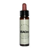 Larch Elixir Floral - 10 ml.