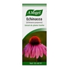 Echinacea - 50 ml