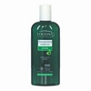 Shampooing Ortie - 250 ml Shampooing Ortie - 250 ml