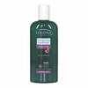 Shampooing GenÃ©vrier - 250 ml