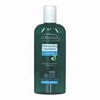 Shampooing Ginkgo - 250 ml