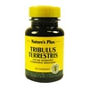 Tribulus terrestris - 60 comp.